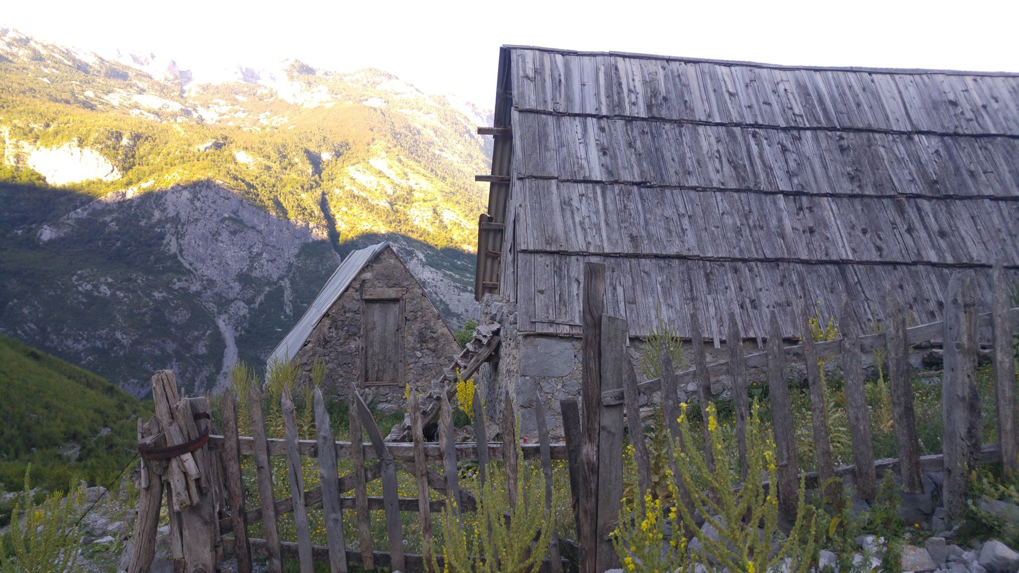 Ottobre 2019 – 2020 – Progetto Parco della memoria