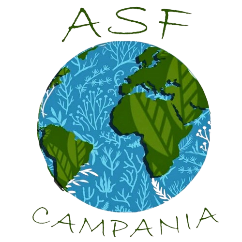 ASF Campania